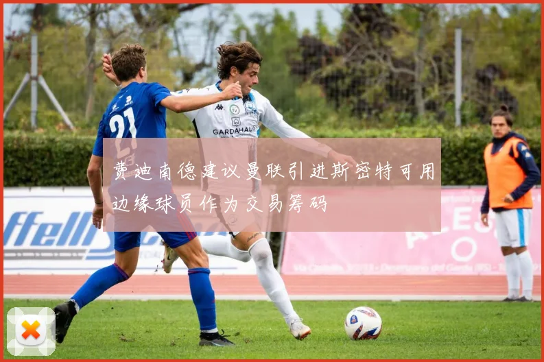 费迪南德建议曼联引进斯密特可用边缘球员作为交易筹码