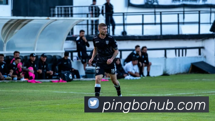 平博体育平台生态图