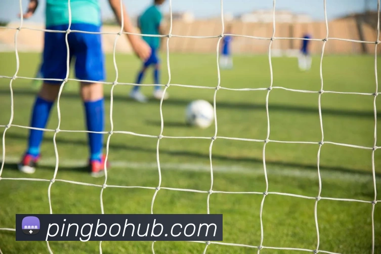 平博体育APP 封面图